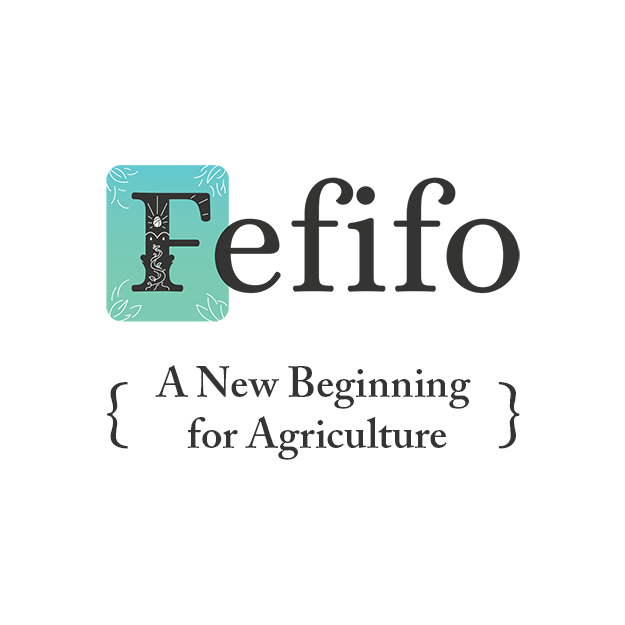 Fefifo